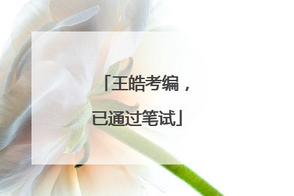 王皓考编，已通过笔试
